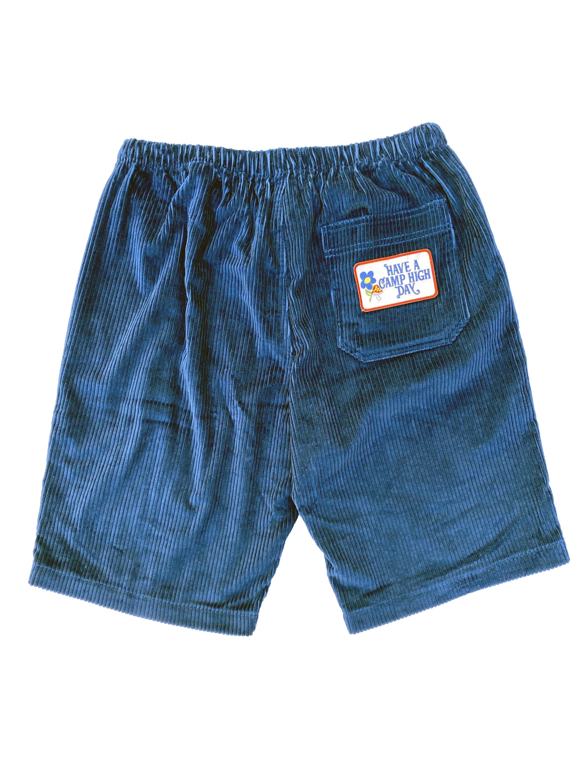 Camp High Blue / L/XL Zen Cord Shorts